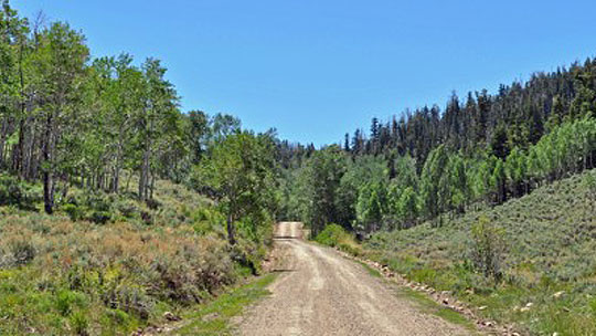 Success Loop Nevada