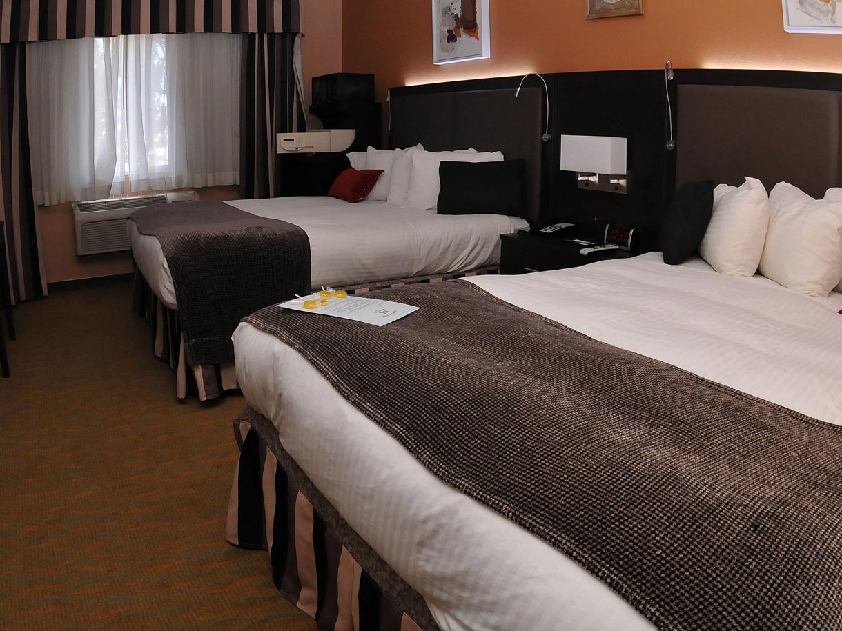 Prospector Hotel and Gambling Pet-Friendly Rooms